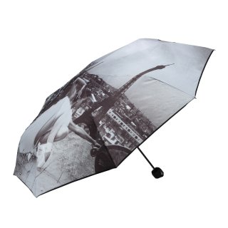 Y Not? Paris Minischirm Regenschirm