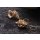 Tenebra Crenulata Muschel Ohrringe with Lever Back Gold 36mm