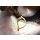 Tenebra Crenulata Muschel Ohrringe with Lever Back Gold 36mm