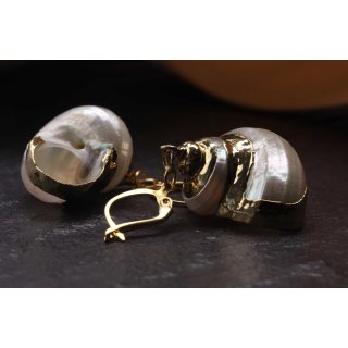 Silver Mouth Muschel Ohrringe with Lever Back Gold 30mm