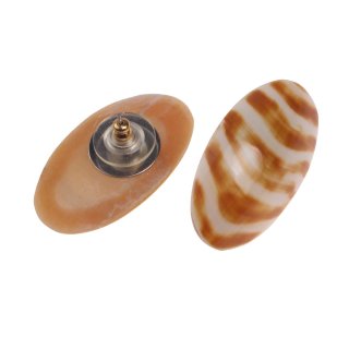 Ohrringe gefertigt aus Nautilus Muschel Oval Design,37mm