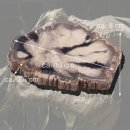 Baumscheibe versteinerte Holz-Scheibe I ca.200 Millionen Jahre alt I ca. 100x85mm